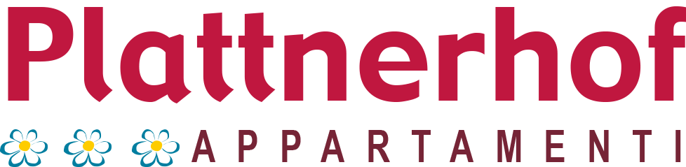 logo_it